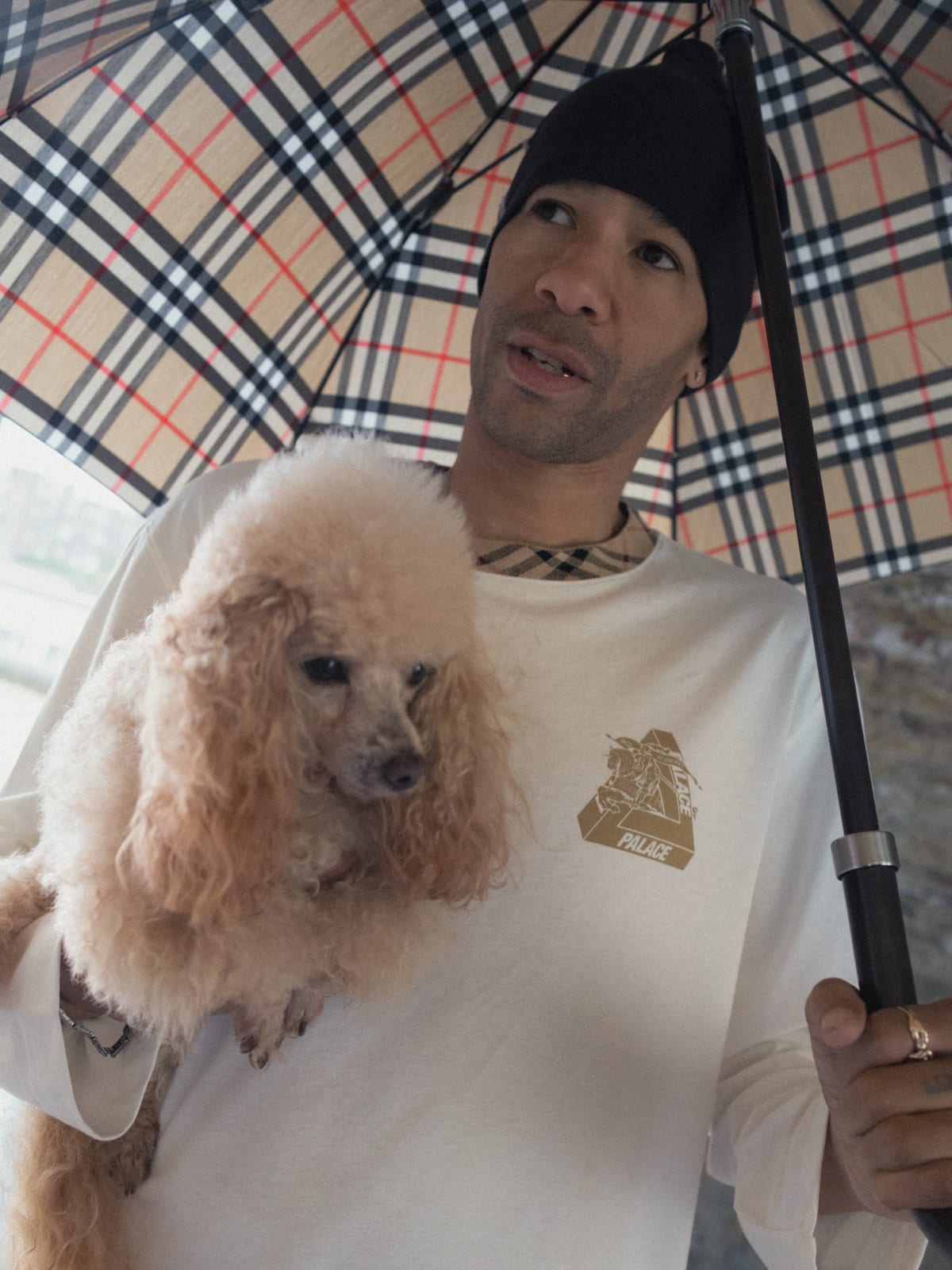 A man under a Burberry check umbrella holding an apricot poodle, wearing a cream Palace x Burberry long-sleeve tee with a small gold Tri-Ferg and Equestrian Knight on the chest and a black beanie